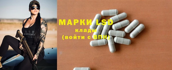 ПСИЛОЦИБИНОВЫЕ ГРИБЫ Белоозёрский