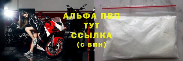 ПСИЛОЦИБИНОВЫЕ ГРИБЫ Белоозёрский