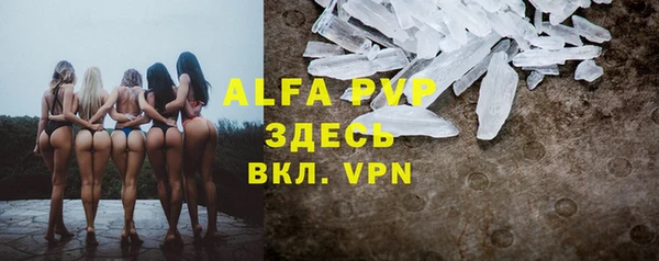 ПСИЛОЦИБИНОВЫЕ ГРИБЫ Белоозёрский